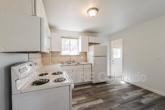 1014 N Raleigh St in Denver, CO - Building Photo - Building Photo