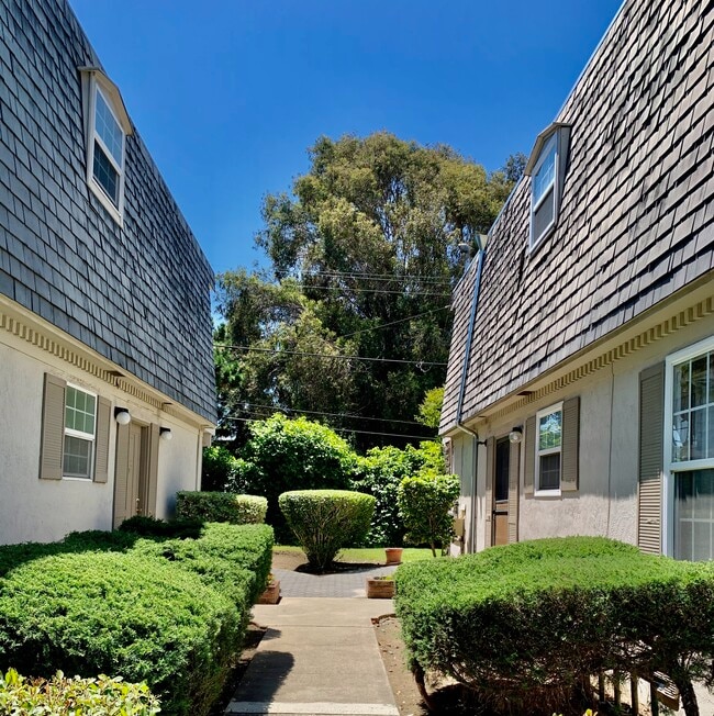 928 Maria Ln Apartments and Nearby Sunnyvale Apartments For Rent Sunnyvale, CA