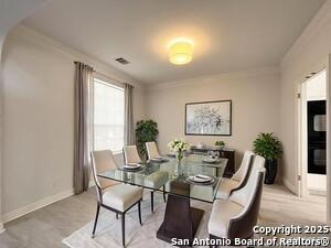 414 Cadence Hill in San Antonio, TX - Building Photo - Building Photo