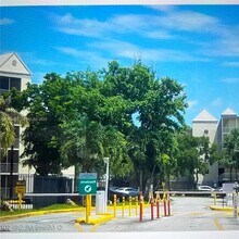 8120 Geneva Ct in Doral, FL - Building Photo - Building Photo