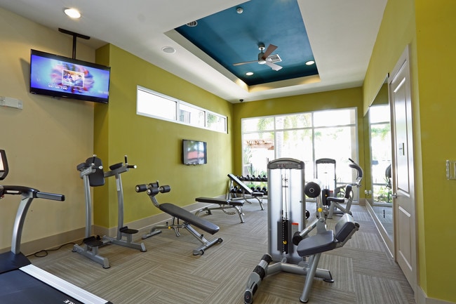 Amelia at Westshore in Tampa, FL - Foto de edificio - Interior Photo