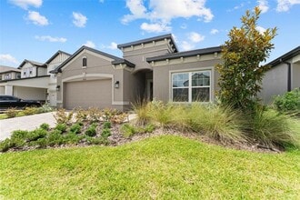 32034 Sapna Chime Dr in Wesley Chapel, FL - Building Photo - Building Photo