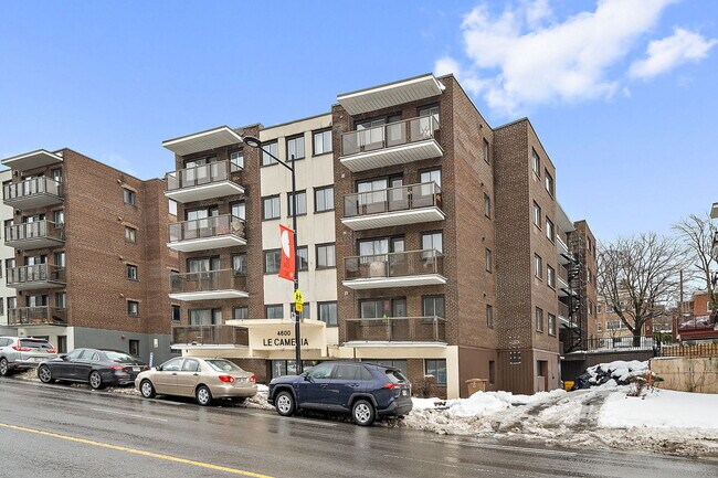 Le Camelia in Montréal, QC - Building Photo - Building Photo