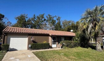 10312 Hidden Ln in Orlando, FL - Building Photo