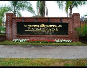 16467 Enclave Village Dr, Unit 7203 in Tampa, FL - Building Photo - Building Photo