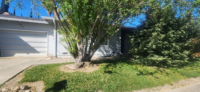 6844 Gloria Dr in Sacramento, CA - Building Photo - Building Photo