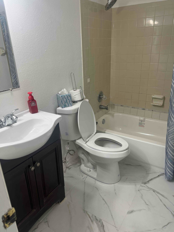203 Brigadoon Dr in Clearwater, FL - Building Photo - Building Photo