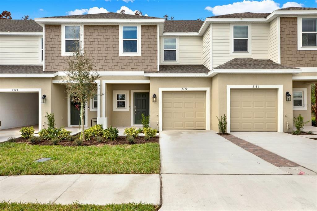 2177 Hallier Cv in Wesley Chapel, FL - Building Photo