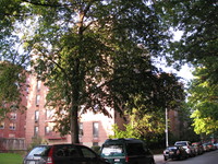 15010 79th Ave in Flushing, NY - Foto de edificio - Building Photo