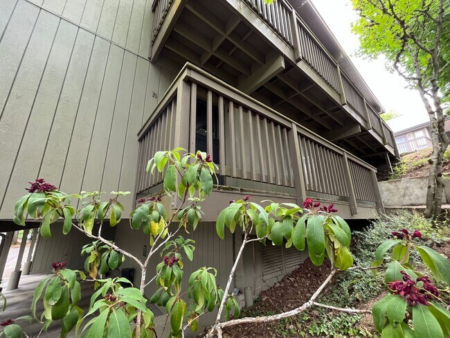 property at 7734 SW Barnes Rd