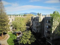 Park Regency Apartments photo'