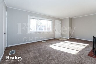 220 Miami St in Park Forest, IL - Foto de edificio - Building Photo