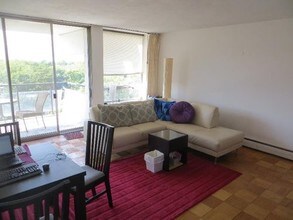 60 Babcock St-Unit -84 in Brookline, MA - Building Photo - Building Photo