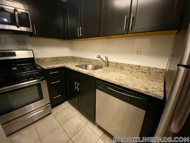 175 Freeman St. in Brookline, MA - Building Photo - Building Photo
