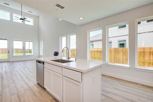 21803 Fitzroy Mnr Ln in Cypress, TX - Building Photo