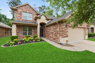 22514 Forbes Field Trail in Spring, TX - Building Photo