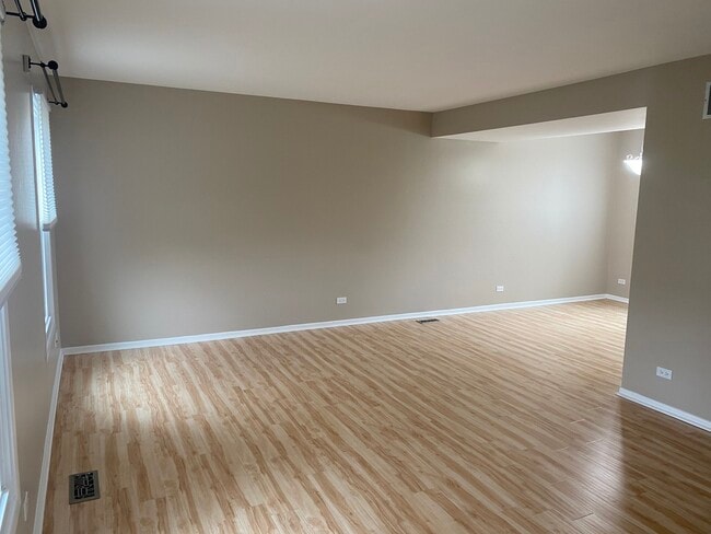 668 Niagara Dr in Bolingbrook, IL - Building Photo - Building Photo