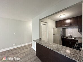 528 W Surf St, Unit 2SA0Q in Chicago, IL - Foto de edificio - Building Photo