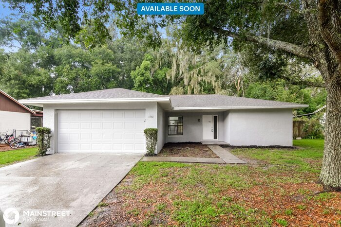 17511 Cranbrook Dr in Lutz, FL - Building Photo