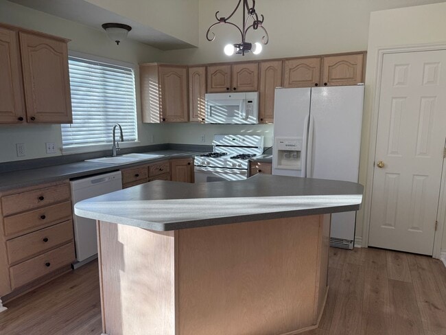 property at 13676 Premier Ln