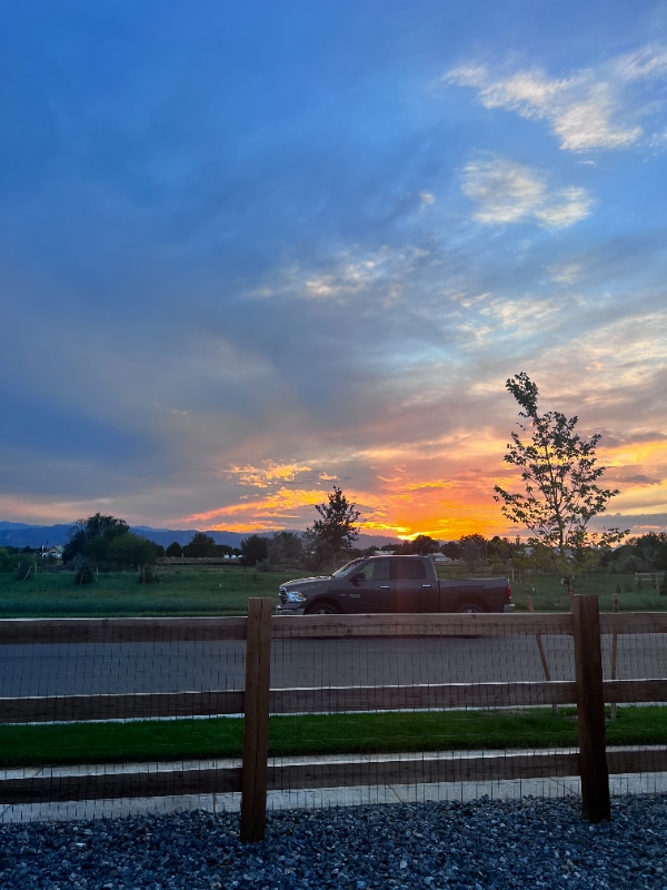 4202 Fox Grove Dr in Fort Collins, CO - Building Photo - Building Photo