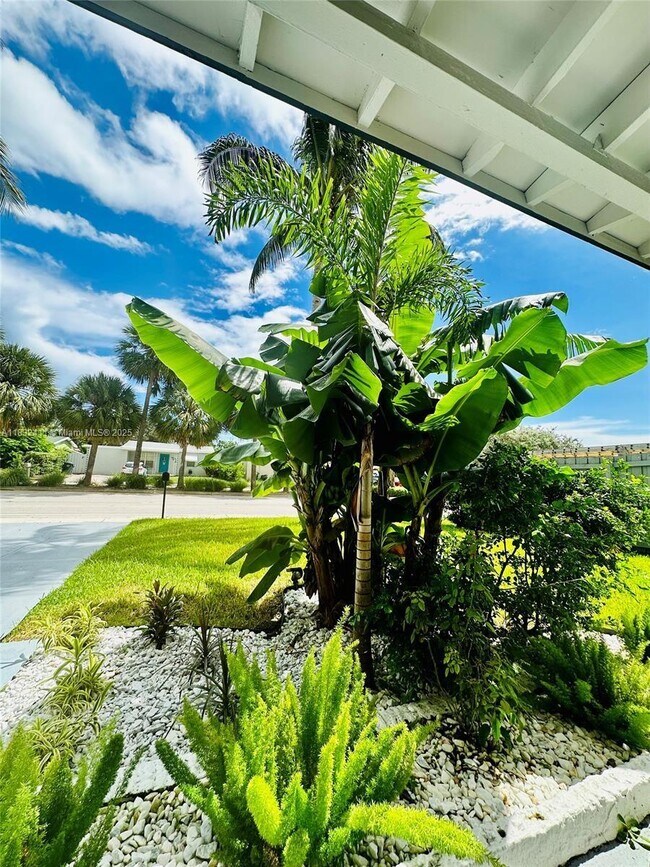 5365 N Andrews Ave in Fort Lauderdale, FL - Building Photo - Building Photo