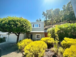 13 Madrid Ct in Novato, CA - Building Photo - Building Photo