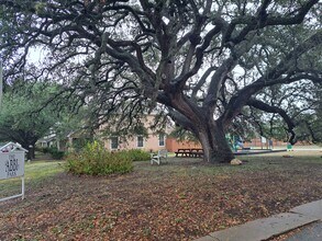 2205 Melissa Oaks Ln in Austin, TX - Building Photo - Building Photo