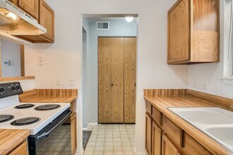1203 S Gilbert St in Castle Rock, CO - Building Photo - Building Photo