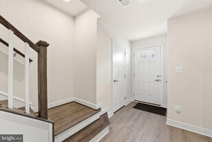 42538 Tiber Falls Sq in Dulles, VA - Building Photo