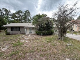 19 Boxelder Ct in Homosassa, FL - Building Photo