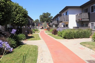 Oliva Apartments in San Jose, CA - Building Photo - Building Photo