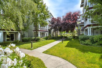 Oak View of Sonoma Hills Apartments in Rohnert Park, CA - Foto de edificio - Building Photo