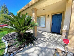 67 Primrose Ct in Tracy, CA - Building Photo - Building Photo