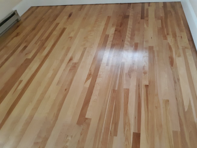 160 Ocean Ave, Unit Apt. 2 in Portland, ME - Building Photo - Building Photo