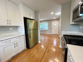 119 7th St in Downers Grove, IL - Building Photo - Building Photo