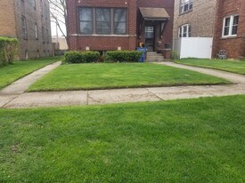 12954 Maple Ave, Unit 2 in Blue Island, IL - Building Photo