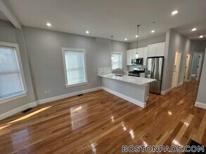 29 Alpine St, Unit 1 in Somerville, MA - Building Photo - Building Photo