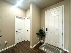 5186 Lumos Ln in Castle Rock, CO - Building Photo - Building Photo