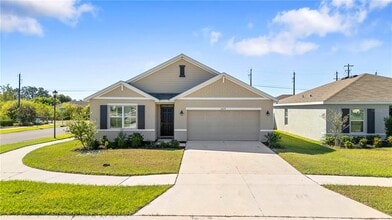 10233 Opaline Sky Ct in Riverview, FL - Building Photo - Building Photo