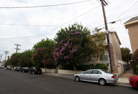 8741 Darby Ave in Northridge, CA - Foto de edificio - Building Photo