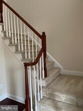 22573 Willington Square in Ashburn, VA - Building Photo - Building Photo