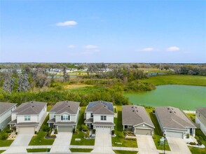 10480 Hawks Landing Dr in Land O Lakes, FL - Building Photo - Building Photo