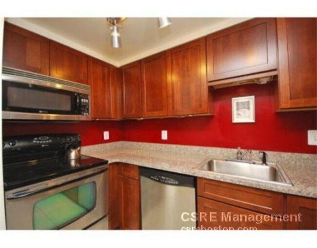 28 Symphony Rd, Unit #1 in Boston, MA - Building Photo - Building Photo