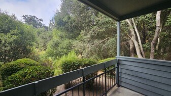 7855 Canyon Meadows Cir in Pleasanton, CA - Building Photo