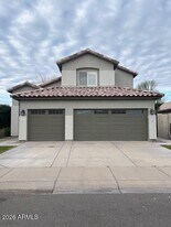 2462 W Rockrose Way in Chandler, AZ - Building Photo