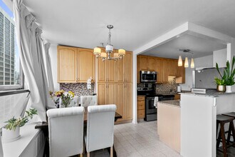 1455 N Sandburg Terrace in Chicago, IL - Building Photo - Building Photo