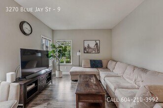 3270 Blue Jay St in Abbotsford, BC - Building Photo - Building Photo