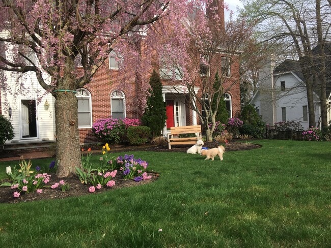 22 Saxon Ln