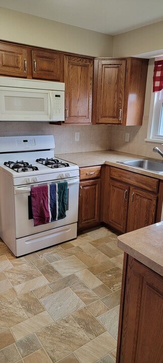 1141 Hickory St in Grafton, OH - Building Photo